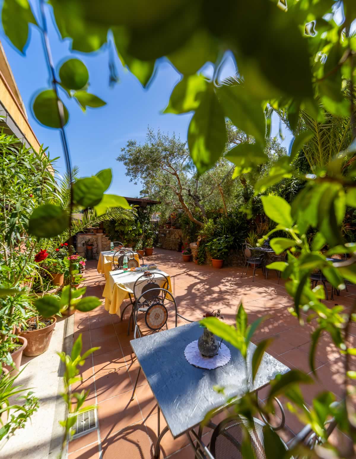 B&B – Terrazza