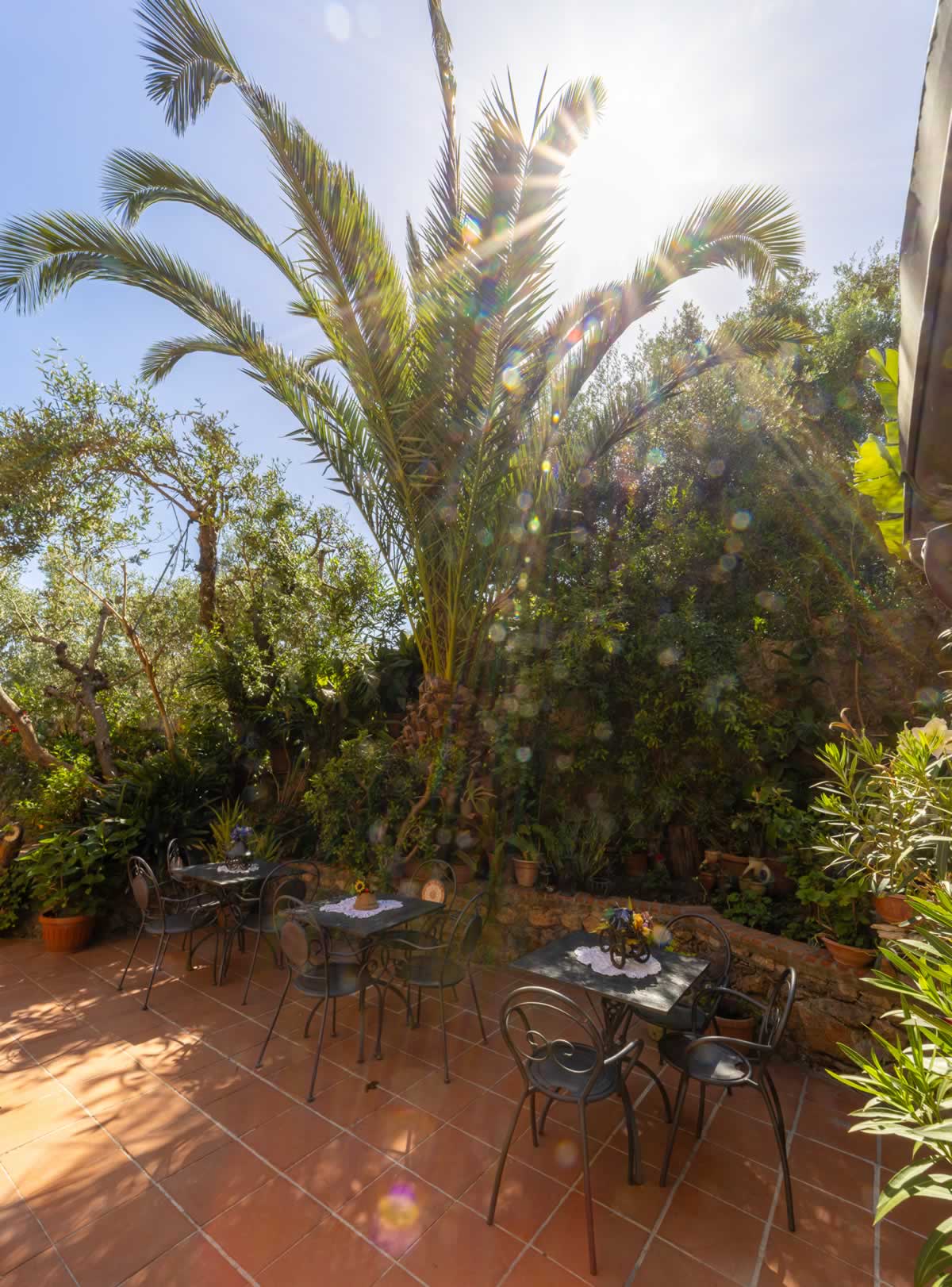 B&B – Terrazza